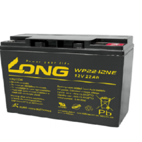Long WP22-12NE Valve Regulated Lead Acid Battery
