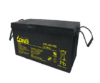 Long WPL200-12N Valve Lead Acid Battery